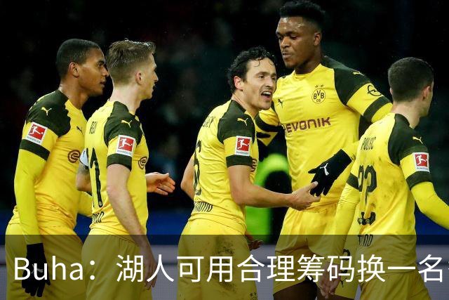 Buha：湖人可用合理筹码换一名替补中锋和首发锋线 卢尼不堪大用